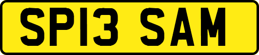 SP13SAM