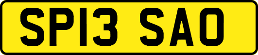 SP13SAO