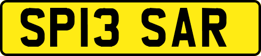 SP13SAR