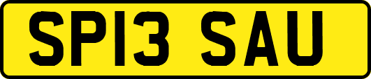 SP13SAU