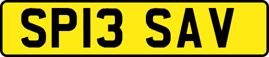 SP13SAV