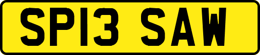 SP13SAW