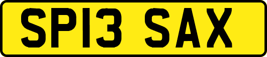 SP13SAX