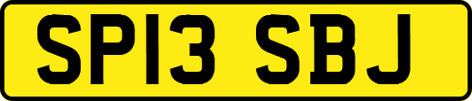 SP13SBJ