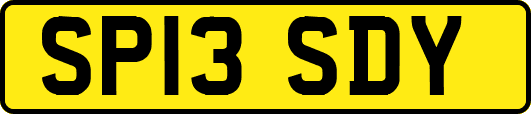 SP13SDY