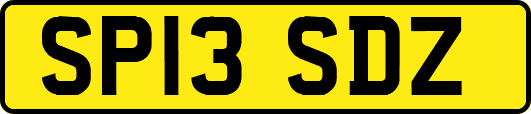 SP13SDZ