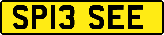 SP13SEE