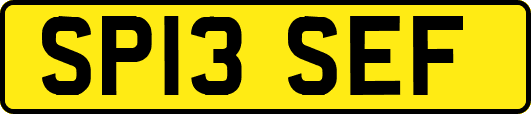 SP13SEF