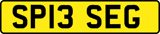 SP13SEG