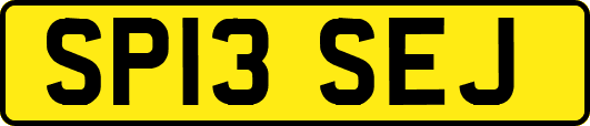 SP13SEJ