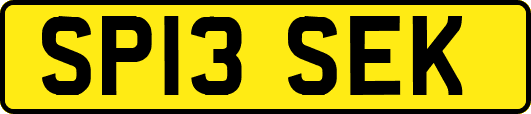 SP13SEK