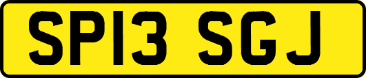 SP13SGJ