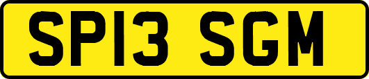 SP13SGM