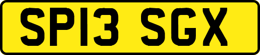 SP13SGX