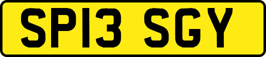 SP13SGY