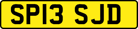 SP13SJD