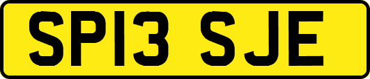 SP13SJE