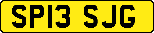 SP13SJG