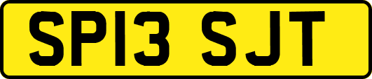 SP13SJT