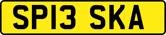 SP13SKA