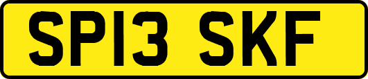 SP13SKF