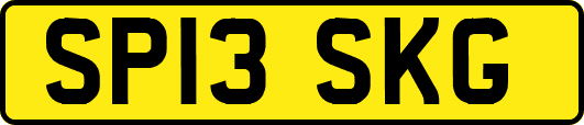 SP13SKG