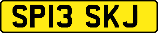 SP13SKJ
