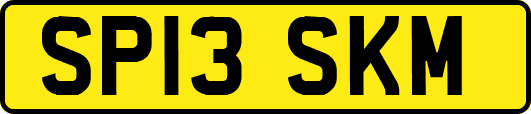 SP13SKM