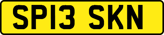 SP13SKN