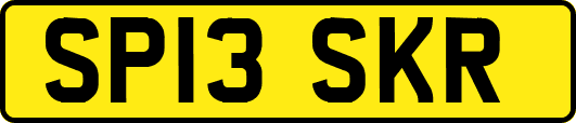 SP13SKR