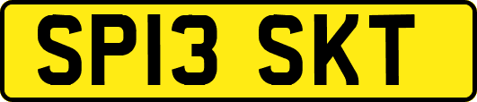 SP13SKT