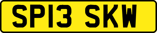 SP13SKW