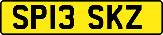 SP13SKZ