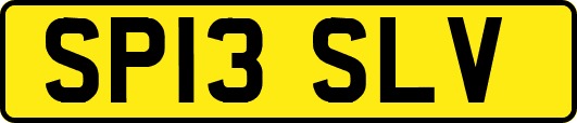 SP13SLV