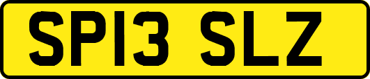 SP13SLZ