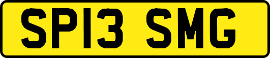 SP13SMG
