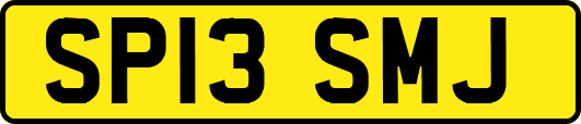SP13SMJ