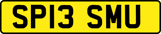 SP13SMU