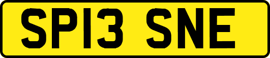 SP13SNE