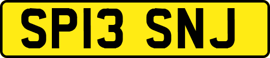 SP13SNJ