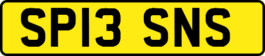 SP13SNS