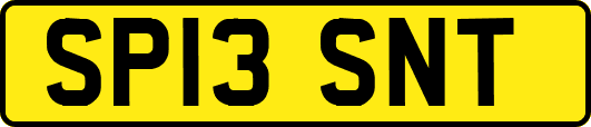 SP13SNT