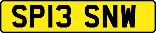 SP13SNW