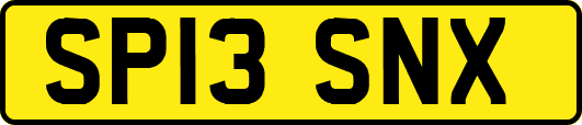 SP13SNX