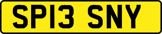 SP13SNY
