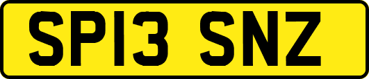 SP13SNZ