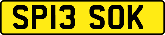 SP13SOK