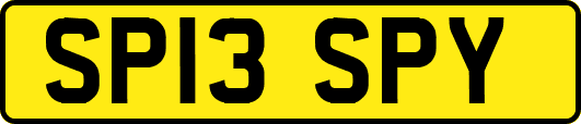 SP13SPY