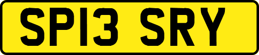 SP13SRY