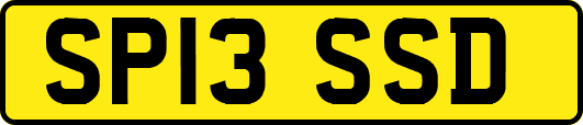 SP13SSD